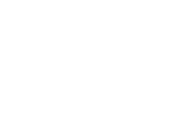 Bison Logo